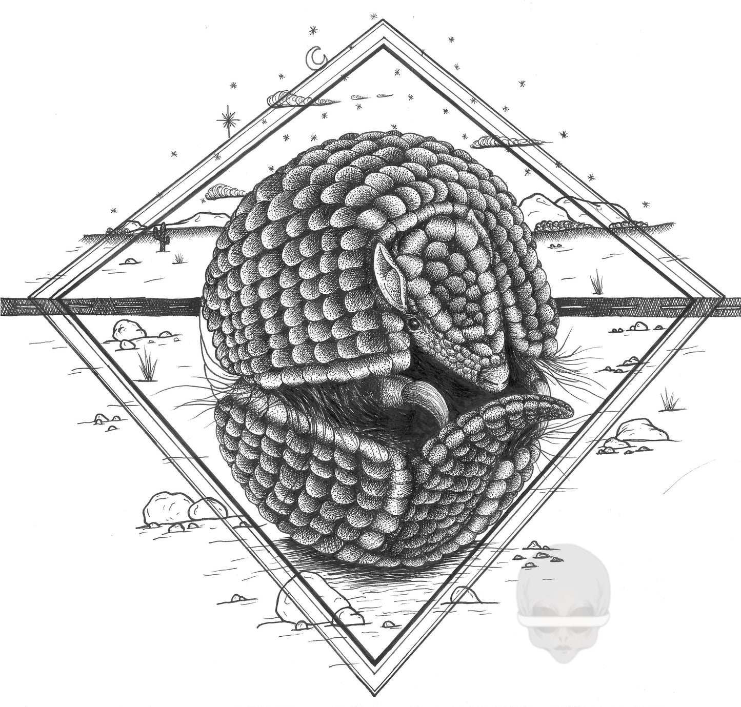 'armadillo' - print