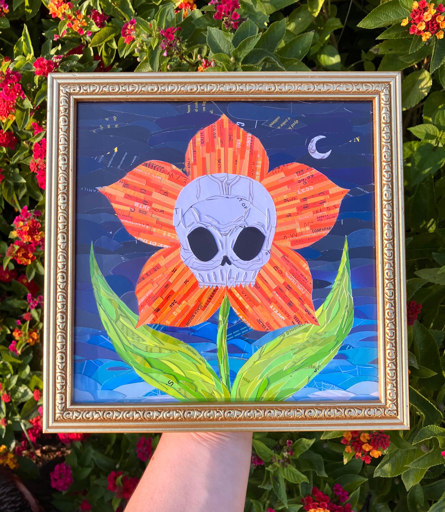 'moon flower' [framed]