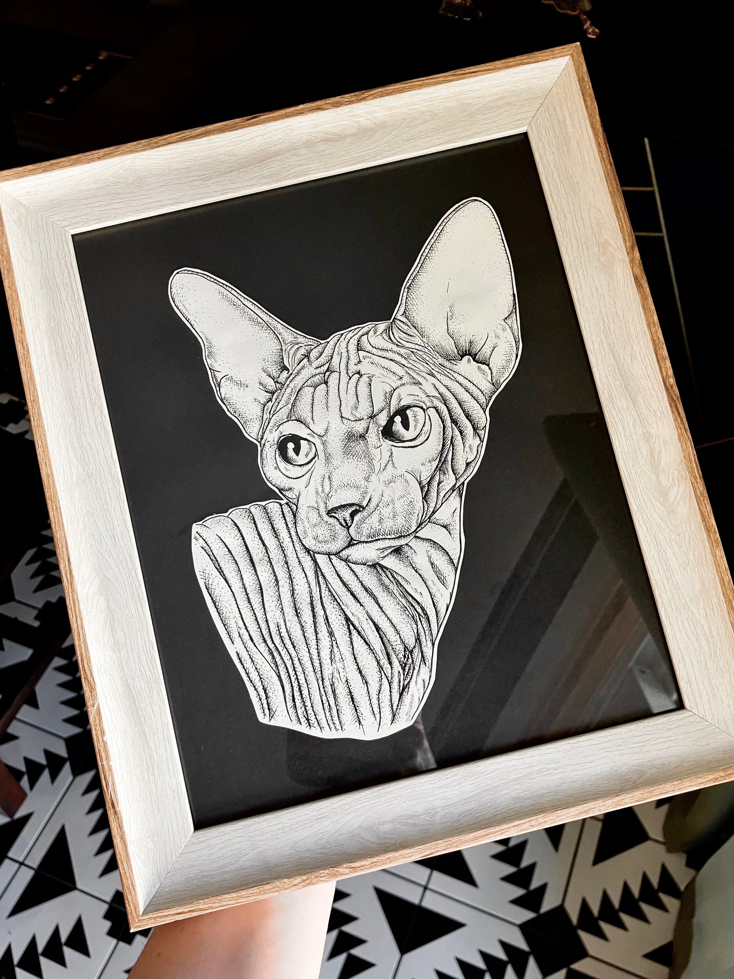 ‘sphynx kitty’ [framed]