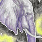 ‘gentle giant’ - print