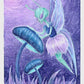 ‘magical’ - print