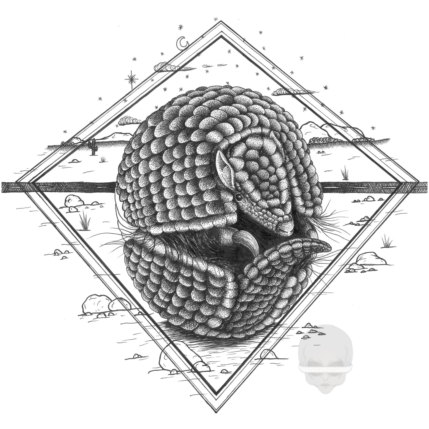 'armadillo'