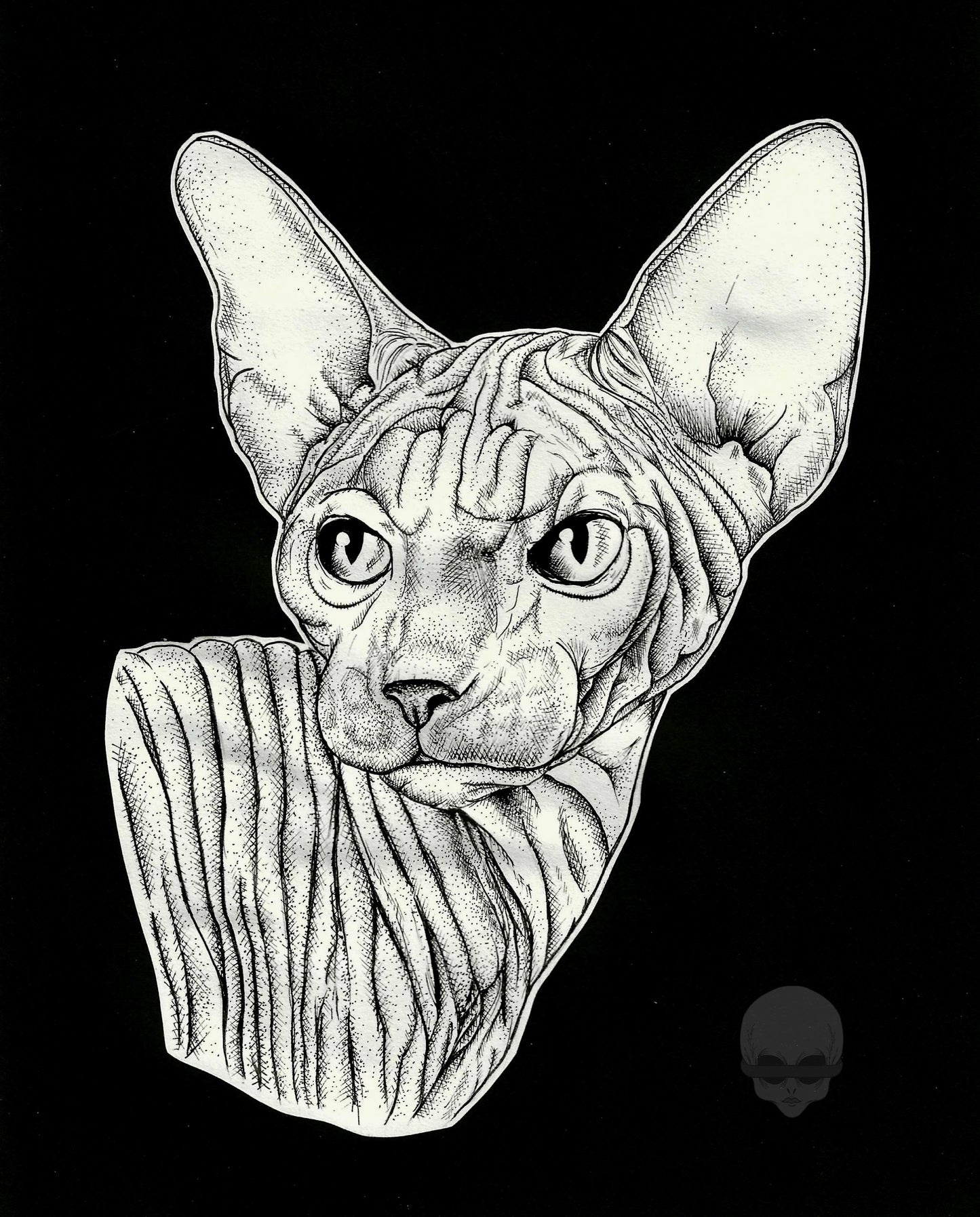 ‘sphynx kitty’ [framed]