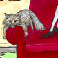‘haunted by carrots the cat’