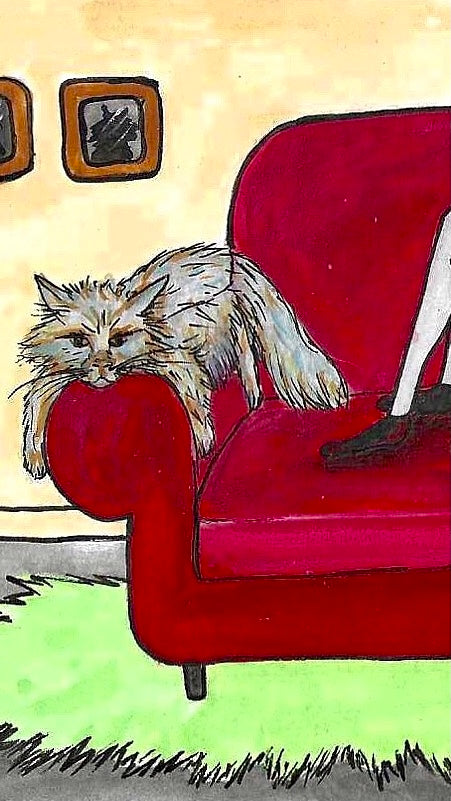 ‘haunted by carrots the cat’