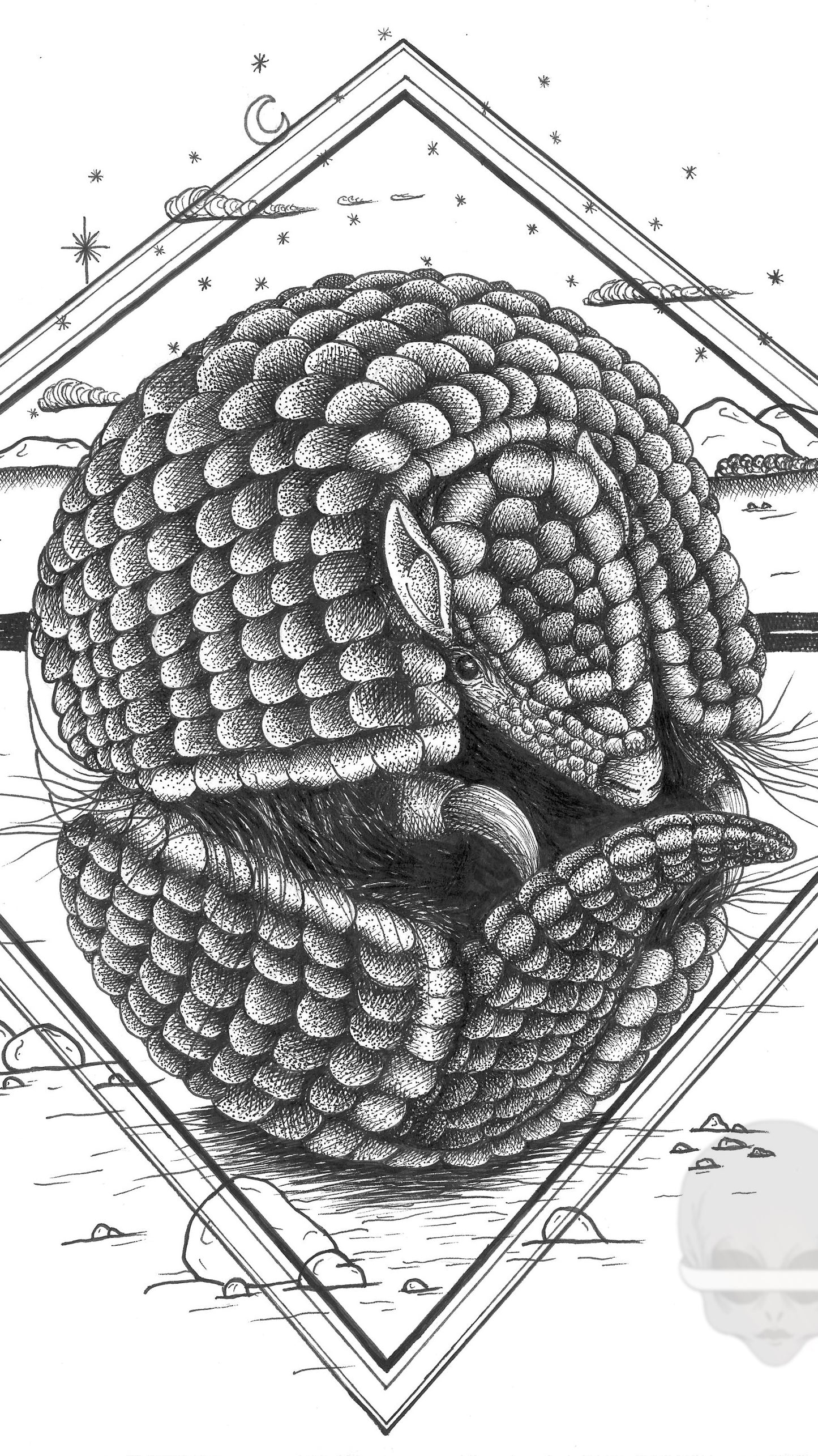 'armadillo' - print