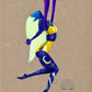 ‘night circus’